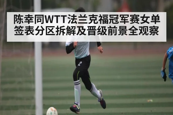 陈幸同WTT法兰克福冠军赛女单签表分区拆解及晋级前景全观察