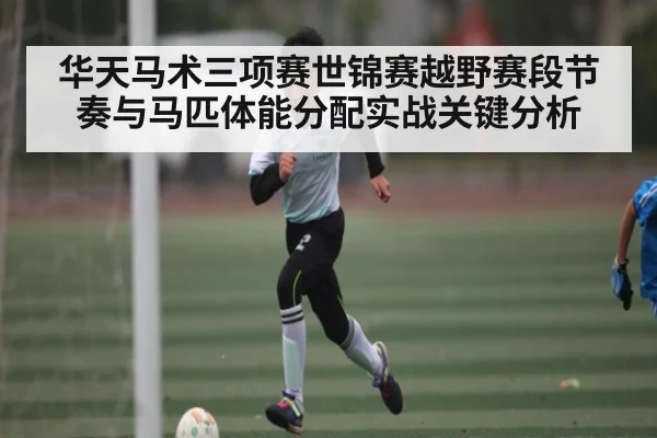 华天马术三项赛世锦赛越野赛段节奏与马匹体能分配实战关键分析